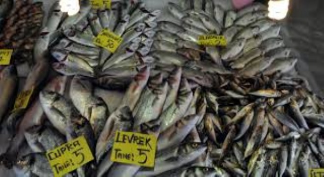 Aralık’ta Taze Balık Zam Şampiyonu