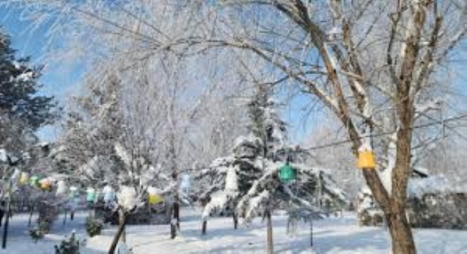 Doğu Anadolu’da Dondurucu Soğuklar Hayatı Olumsuz Etkiliyor