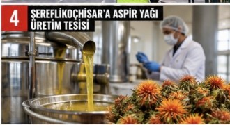 ŞEREFLİKOÇHİSAR’A ASPİR YAĞI ÜRETİM TESİSİ